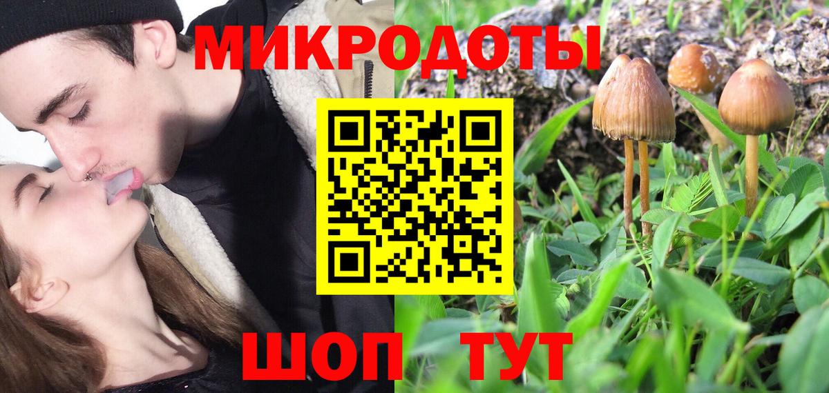 Галлюциногенные грибы мухоморы  Галлюциногенные грибы ЛСД  Новый Уренгой  Вход с VPN 