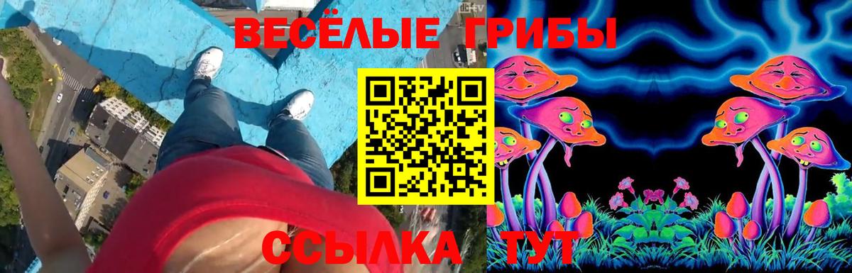 Псилоцибиновые грибы Psilocybine cubensis Новый Уренгой